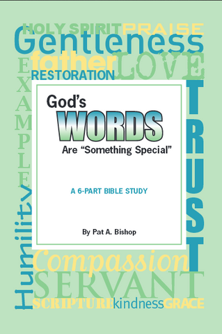 Bible Study Book + Facilitator's Guide (on CD): "God's Words Are Something Special"